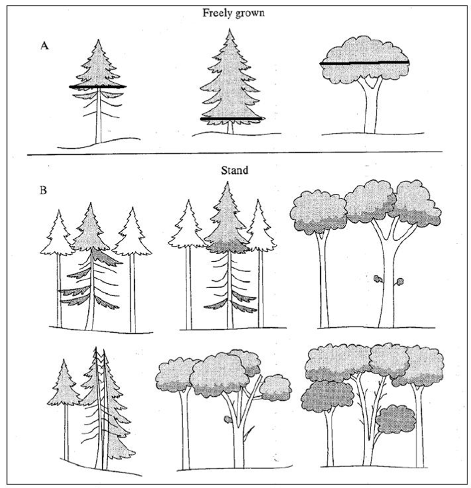 Plot desgin - Level II