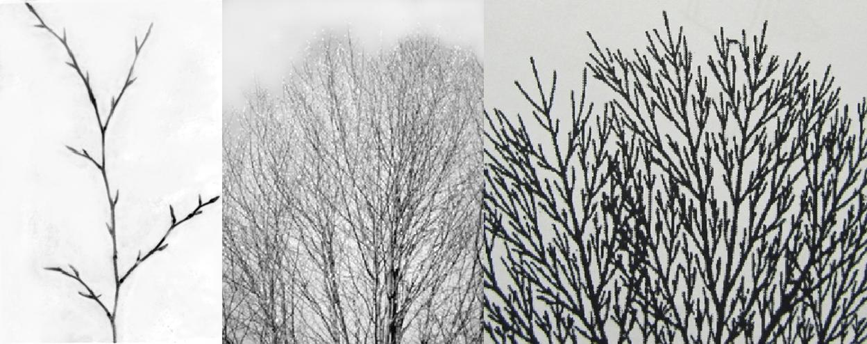 Exploratory phase