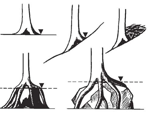 Ground level
