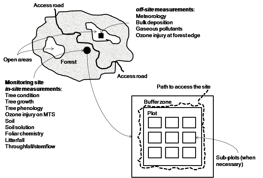 Plot desgin - Level II